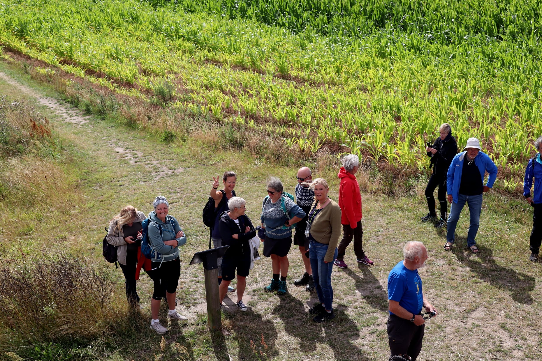 Jane Svejdal : personer set oppefra i skov eller mark
